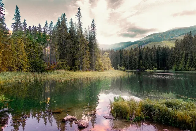 Fjord
